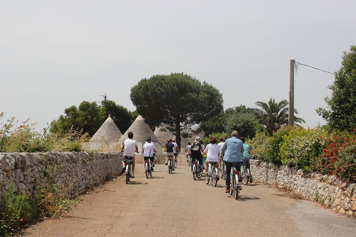 E-bike tour in the countryside