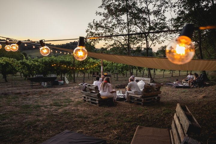 Private wine experience with the winegrower in Orvieto - Photo 1 of 11