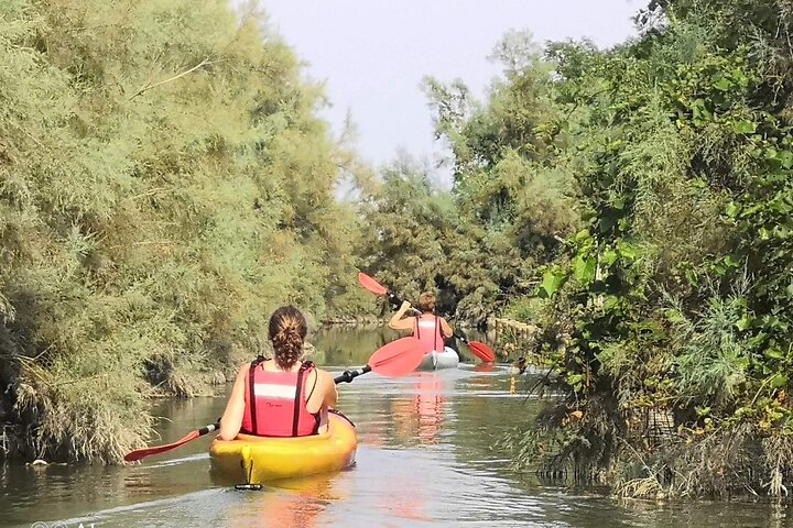 Private Kayak Tour in the Venetian Lagoon - Photo 1 of 12