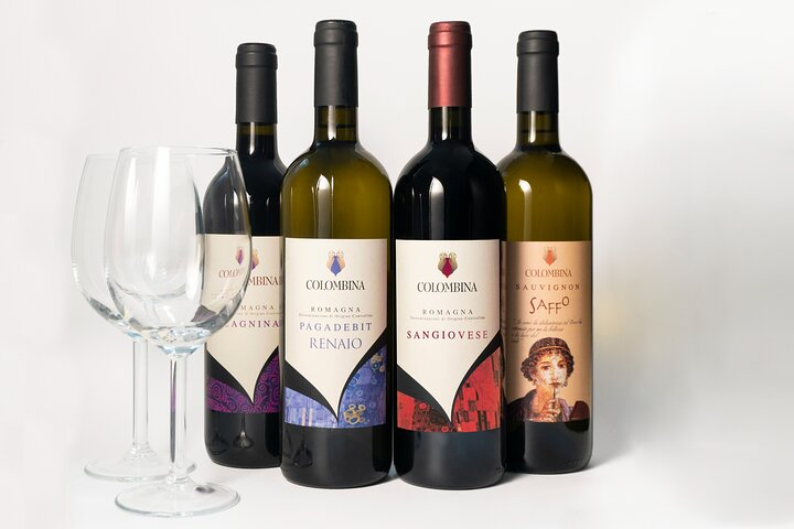 Private tastings at the Colombina Agricultural Company - Photo 1 of 10