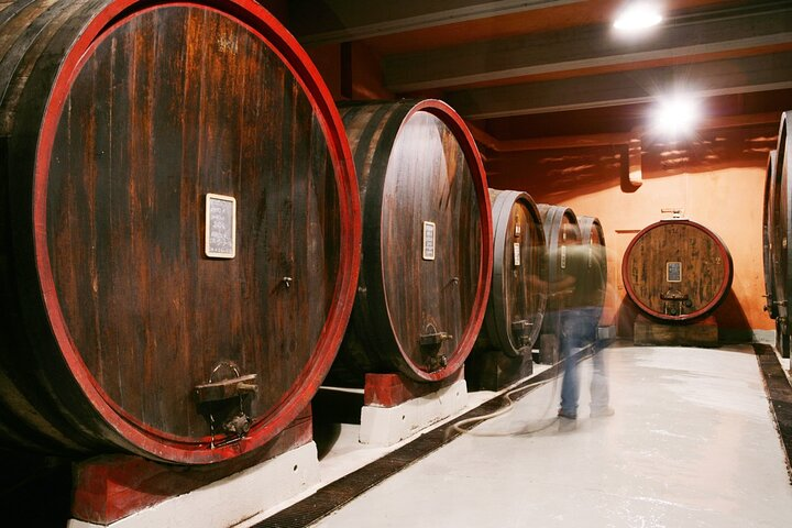 Private Tour in the Cellar and Tasting of Langhe Wines - Photo 1 of 7