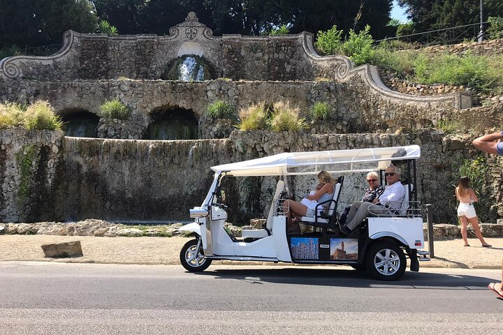 Private Tour of the Historic Center of Florence by Golf Car - Photo 1 of 5