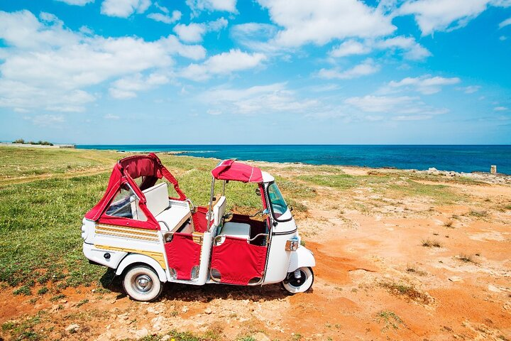 Private Tour of the Marinas - Photo 1 of 7