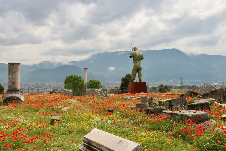 Visit Pompeii from Rome - Private Tour with Driver, Guide & Entry - Photo 1 of 17