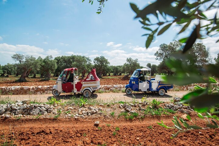 Private Tuk Tuk Tour of the Millenary Olive Groves in Ostuni - Photo 1 of 4