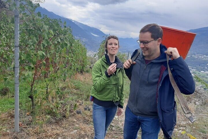Private Wine Tour: Terraced Vineyards with Alpine view from Milan - Photo 1 of 9