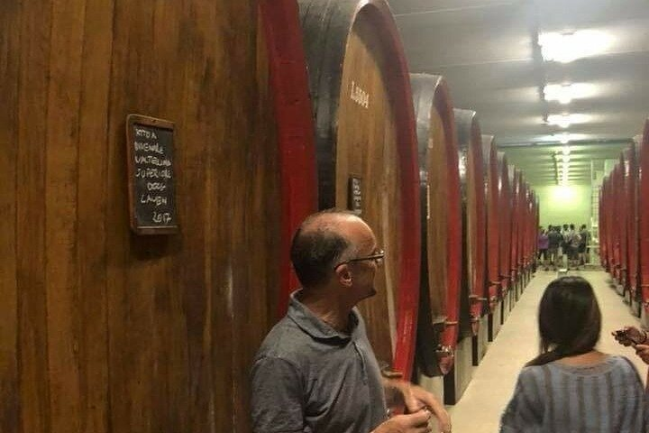 Private Wine Tour: Terraced Vineyards with Alpine view from Milan - Photo 1 of 9