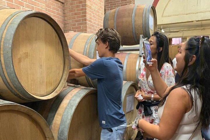 Private Wine Tour with The Whites of Langa Tasting - Photo 1 of 7