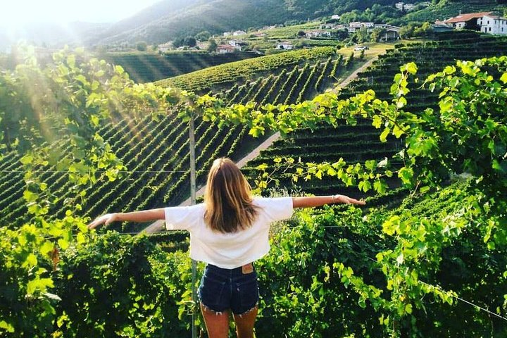 Amazing proseccoland