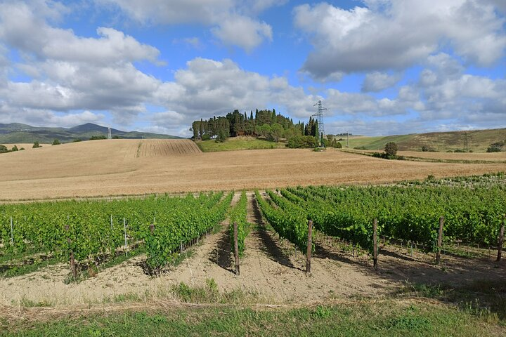 "Ramble Through The Rolling Hills Of Chianti" with lunch and 2 wine tastings - Photo 1 of 25