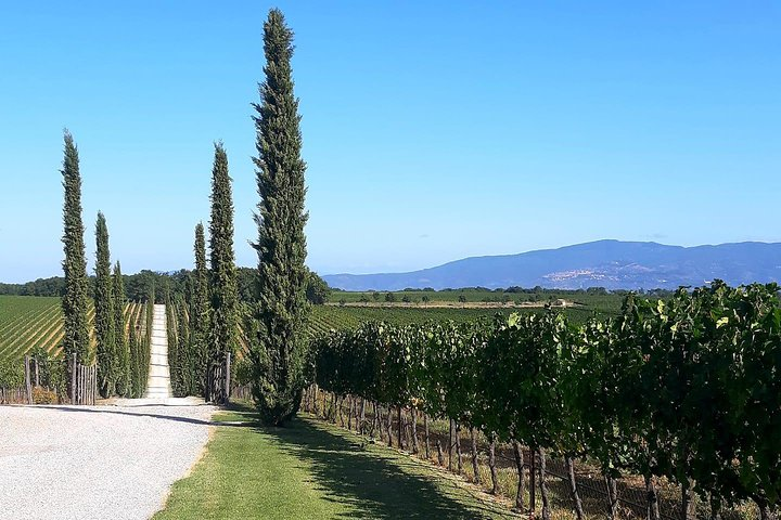 Rent with driver - Photo 1 of 6