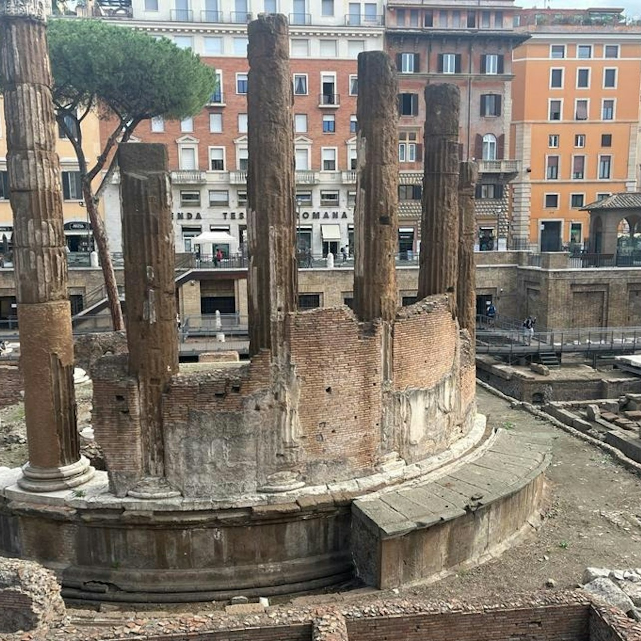 Archeological Area Largo Argentina: Skip The Line Ticket - Photo 1 of 4
