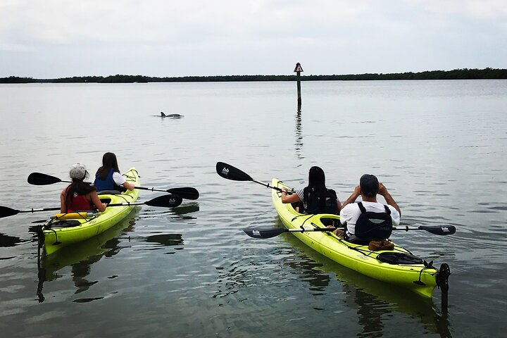 Rookery Bay Beginner Kayak Tour - Photo 1 of 2