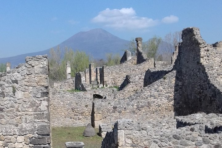 From Naples: Pompeii & Wine Tasting" Private Day Tour - Photo 1 of 12