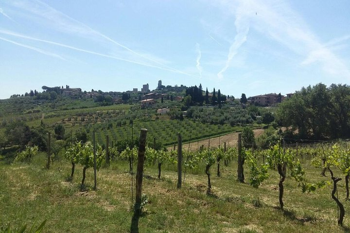 View of San Gimignano