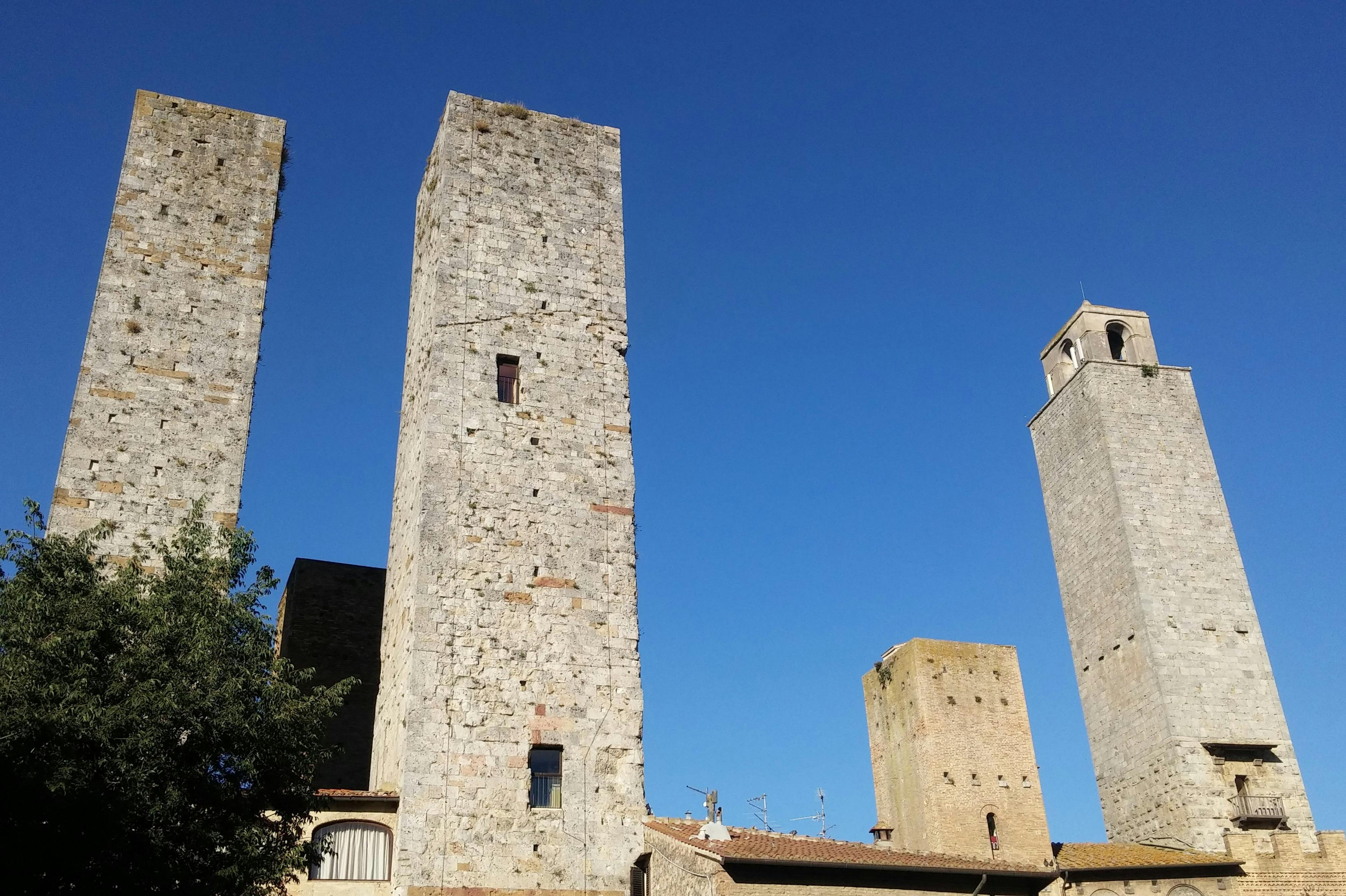 San Gimignano: Vineyard Guided Tour + Wine Tasting + Lunch - Photo 1 of 3