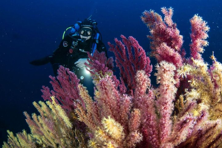 Scuba diving in Calabria, Italy - Photo 1 of 9