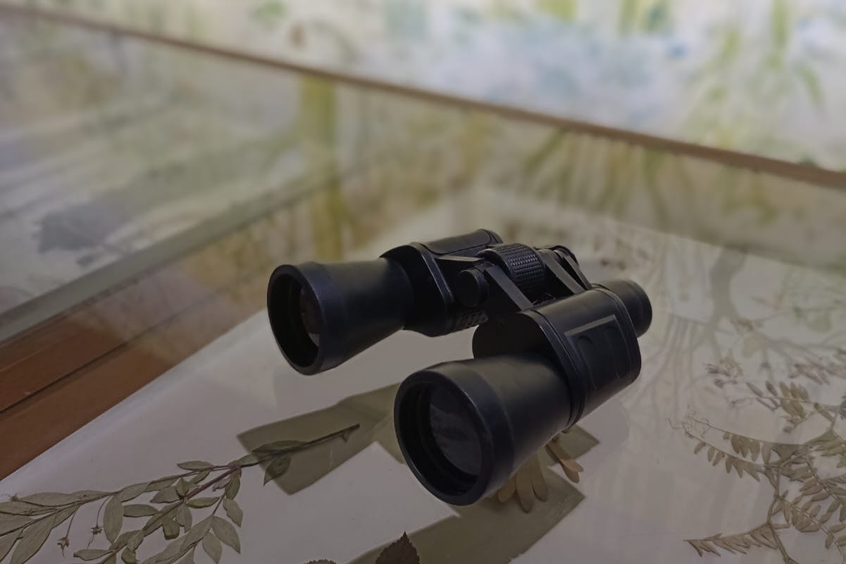 RADICI. Piccolo Museo della Natura: Entry Ticket + Self-Guided Tour - Photo 1 of 4