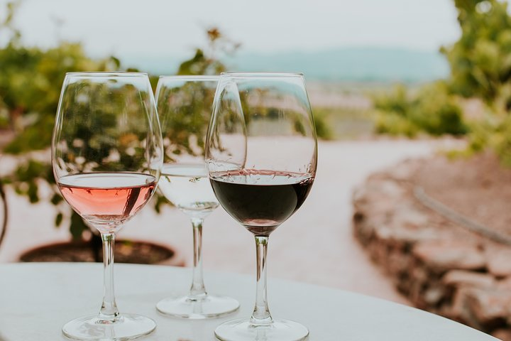 Siena in 3 Wines: Exclusive Wine Tasting with an Expert & Food Pairing - Photo 1 of 8