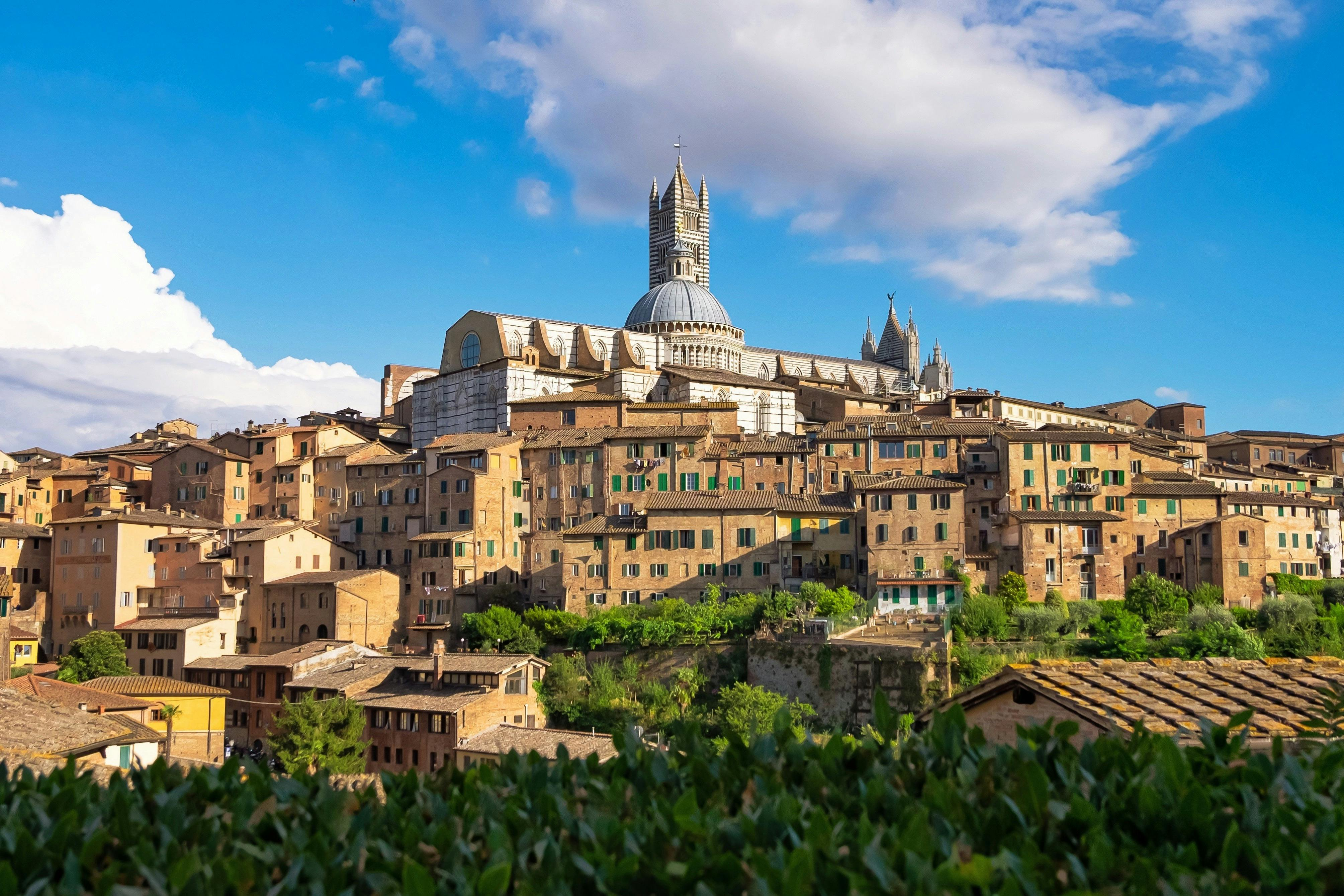 Siena & San Gimignano: Trip from Florence + Optional Wine Tasting & Audio Guide - Photo 1 of 4
