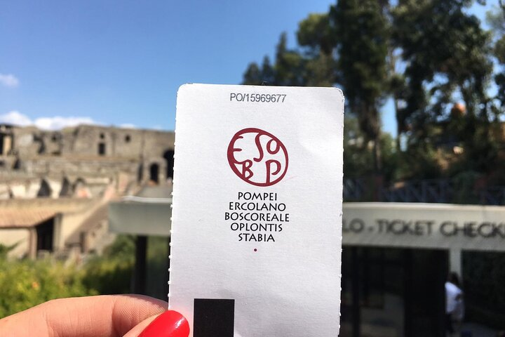 Herculaneum ticket