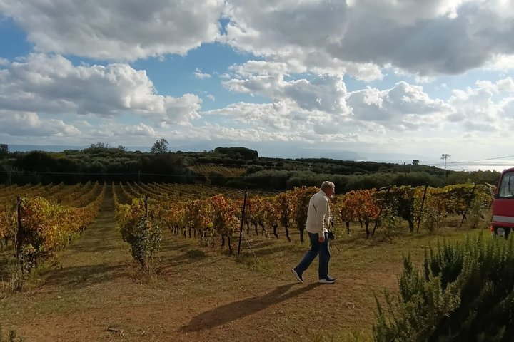 Slow Wine & Tartufo Gelato Tasting Experience  - Photo 1 of 12