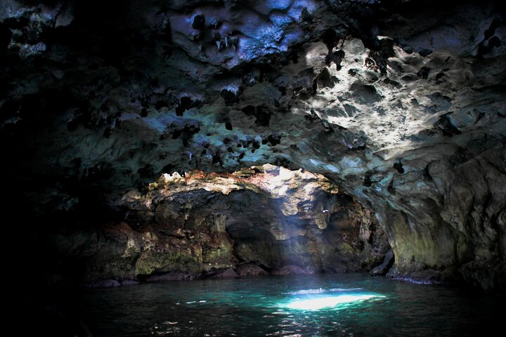 Polignano a Mare boat tour emotions, caves, diving and appetizers - Photo 1 of 10