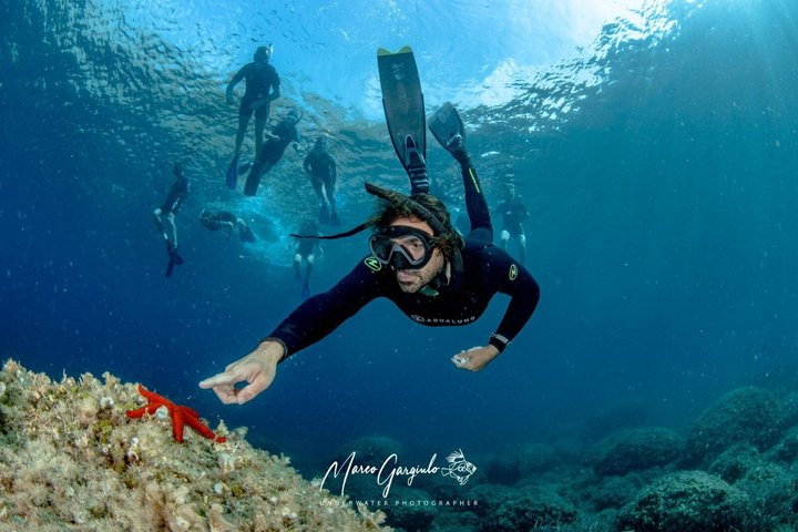 Sorrento Morning RIB Snorkel: 2 Spots with a Marine Biologist - Photo 1 of 19