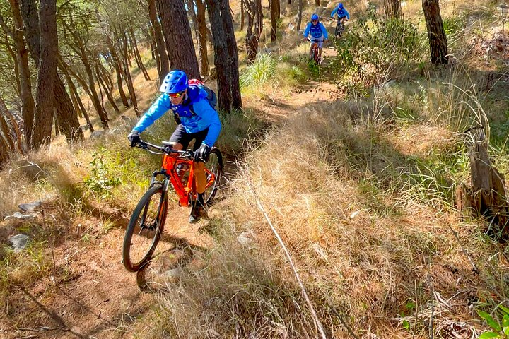 Pedals & Flavours: Sorrento oil and lemon tour - Photo 1 of 14