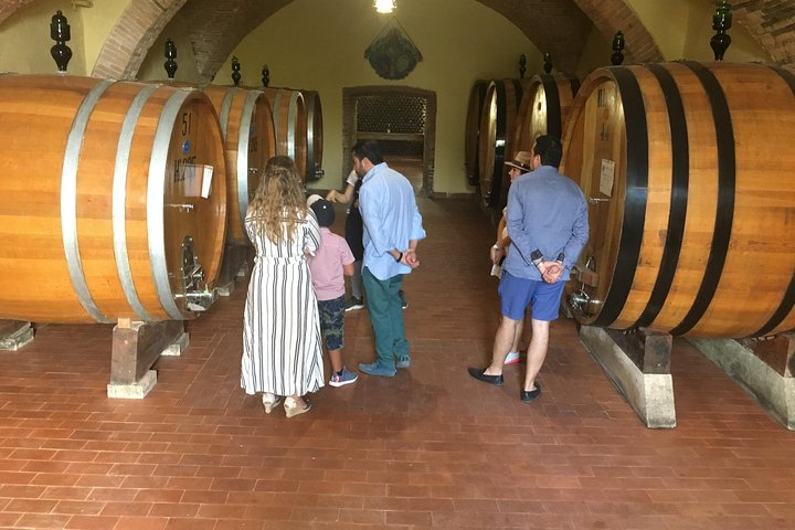 Cellar tour