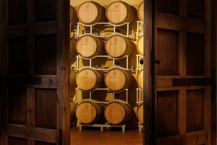 Tasting with Private Walk in a Cellar in Tuscany - Photo 1 of 9