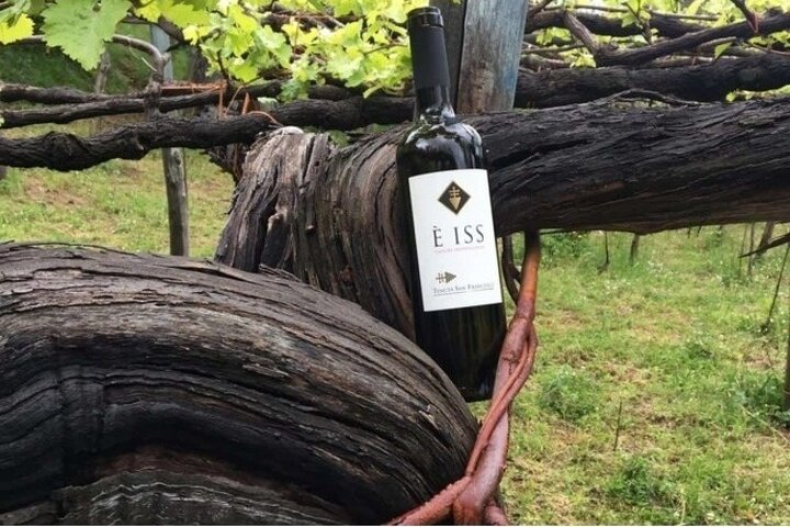 Tenuta San Francesco Wine Tasting - Photo 1 of 6