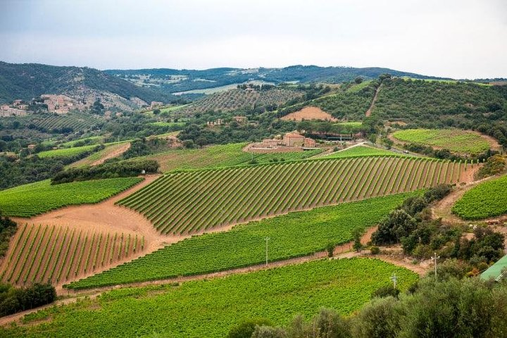 Chianti