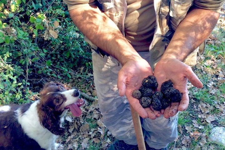 The Real Truffle Hunting in Abruzzo - Photo 1 of 9