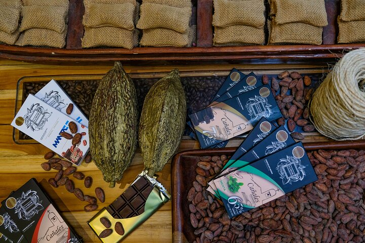 The ultimate Cocoa farm experience  - Photo 1 of 25