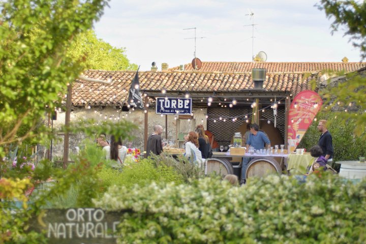 From Verona: trip into the world of Natural Wines & organic lunch - Photo 1 of 8