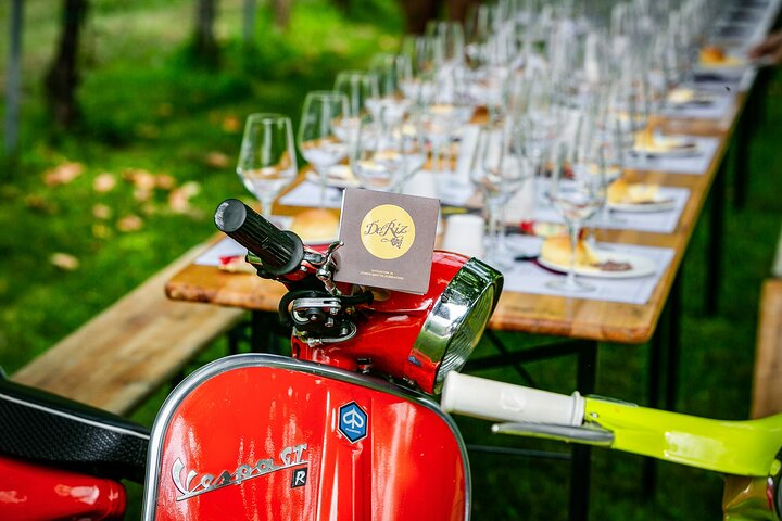 Tour and 3 wines tasting in the Prosecco Hills - Photo 1 of 6