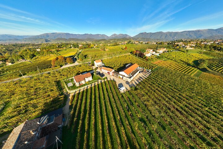 Tour and 3 wines tasting in the Prosecco Hills - Photo 1 of 6