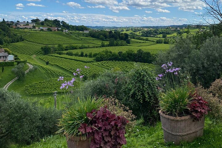Tour in the Prosecco Hills Tour from Padua - Photo 1 of 9