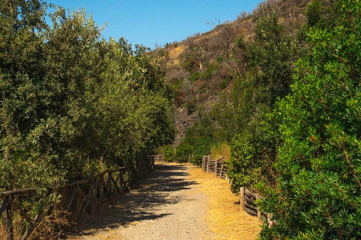 Tour Monte Nuovo and Lake Averno - Photo 1 of 6