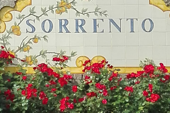 Pompeii Half-Day Tour from Sorrento  - Photo 1 of 8