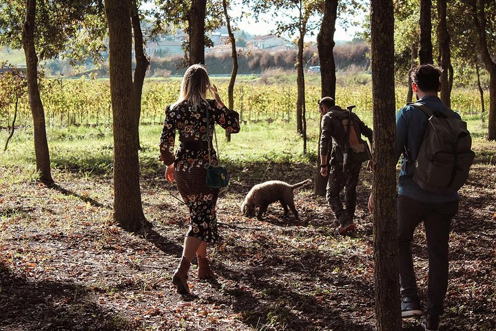 Truffle Hunt, Cooking Class & Wine Tasting - Photo 1 of 7