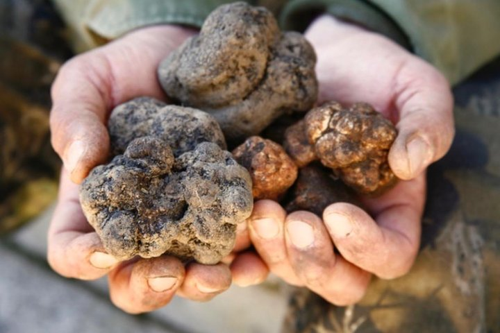 Truffles