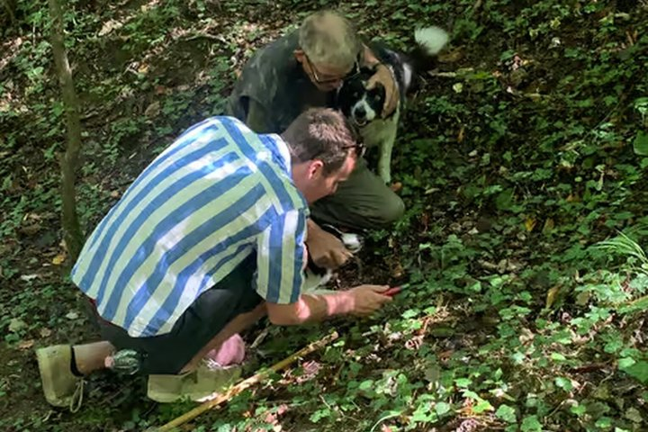 Truffle Hunting and Cheese, Truffle & Wine Tasting near Alba - Photo 1 of 22