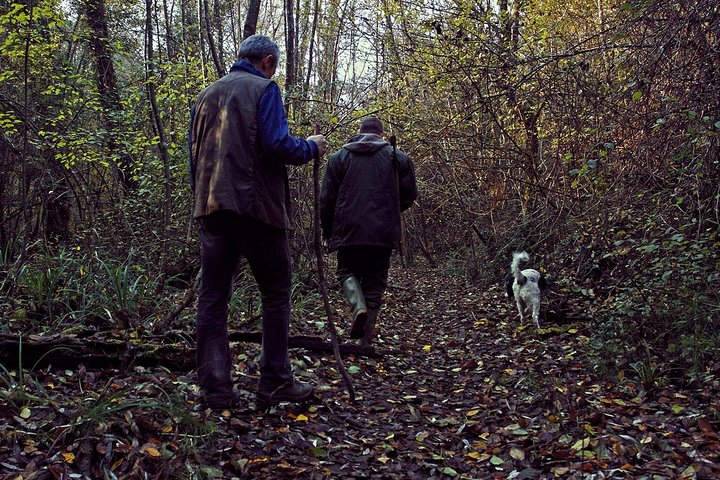 Truffle hunting