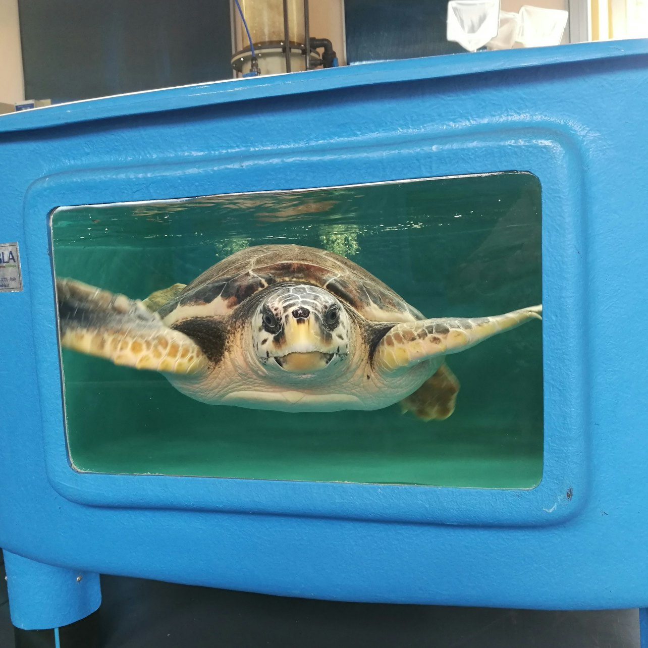 Turtle Point: Entry Ticket - Photo 1 of 3