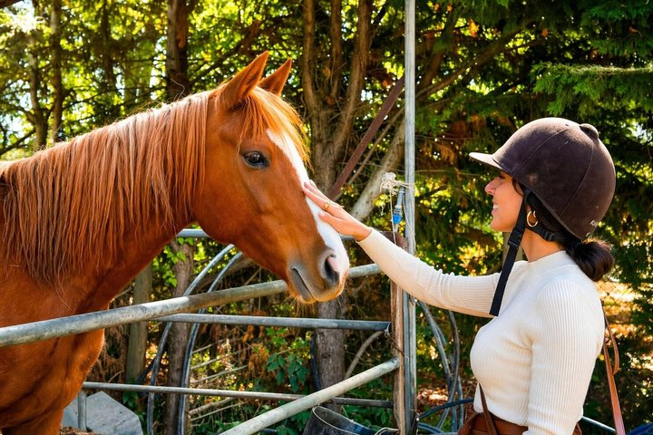 Tuscan Chianti Hills Horseback Riding Tour - Photo 1 of 5