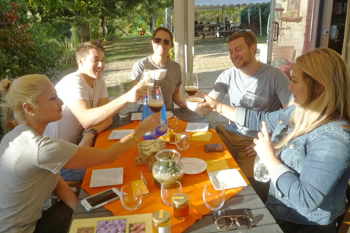 Relax and enjoy saffron tasting