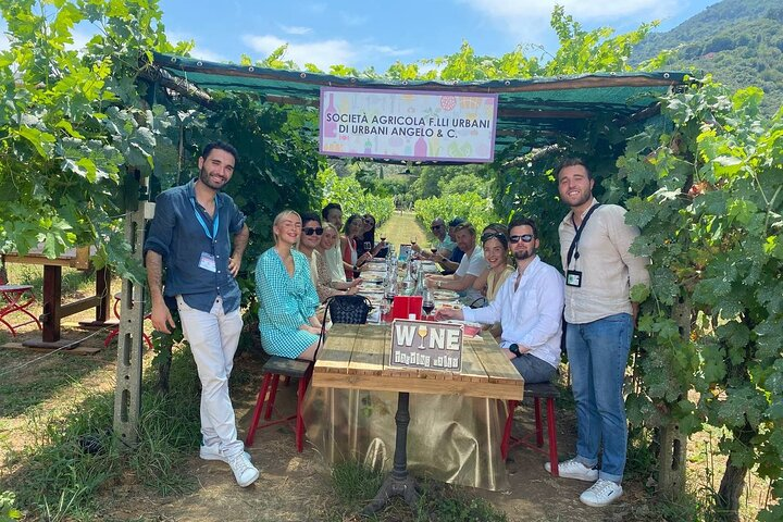 Tuscan Wine Tour in Lucca by van - Photo 1 of 25