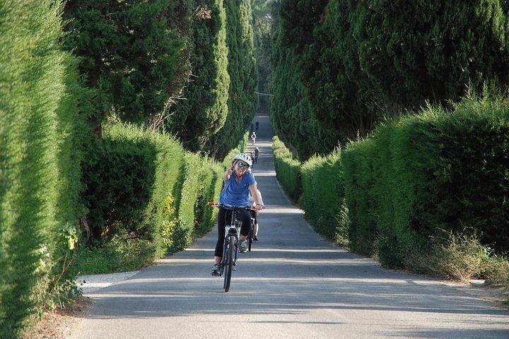 Pedal through scenic hills surrounded by lush greenery while savoring local wines and traditional Tuscan cuisine. Experience the essence of Chianti on this unforgettable bike tour.